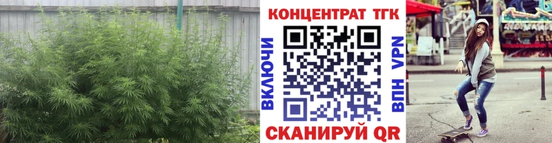ТГК THC oil  Купить  Грозный 