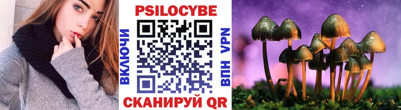 Купить  Грозный  Псилоцибиновые грибы Magic Shrooms 